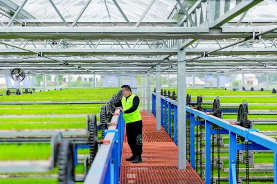 以“智”促治让城市管理更精准 以“智”促治让城市管理更精准